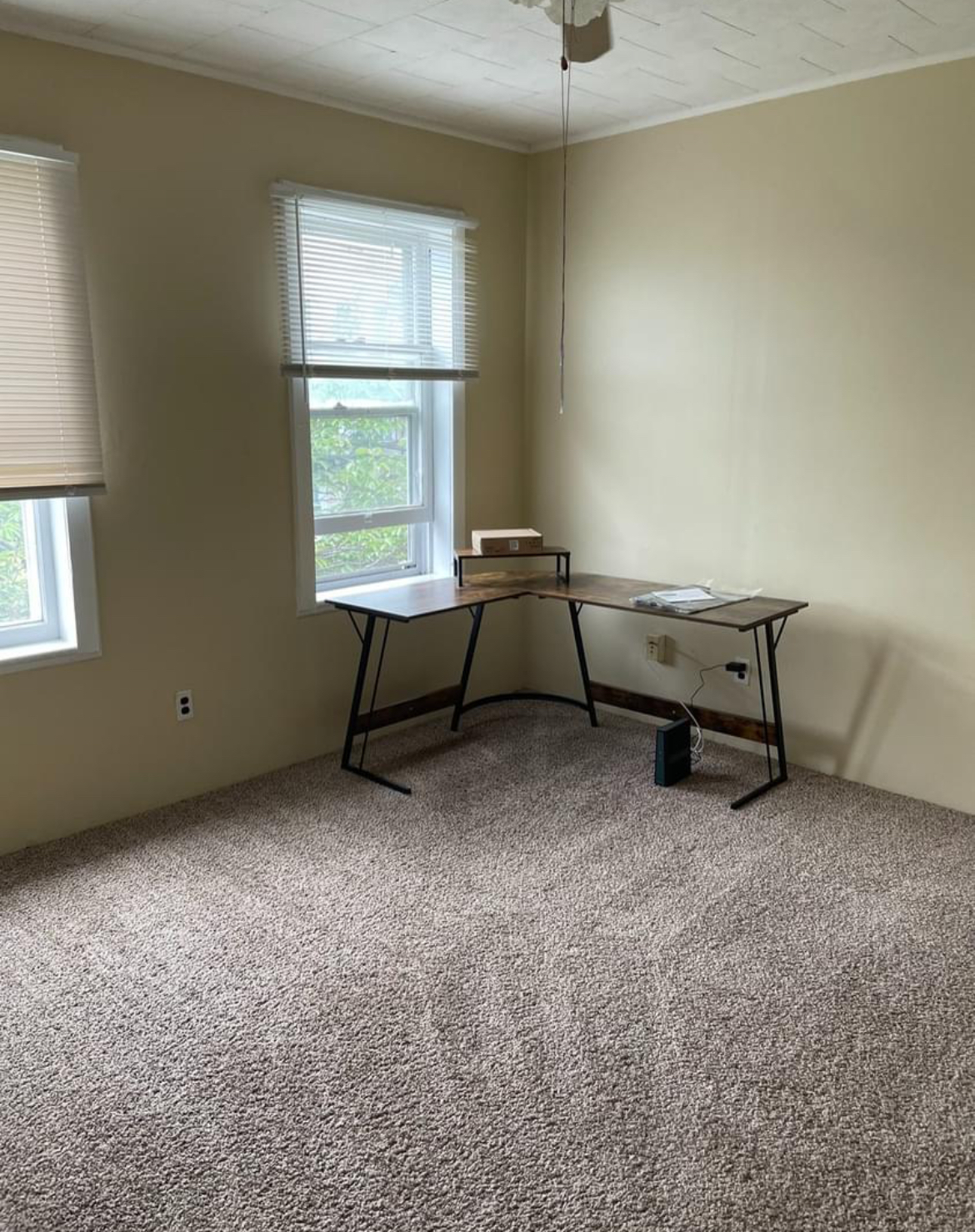 5 bed 2 bath house next to campus!