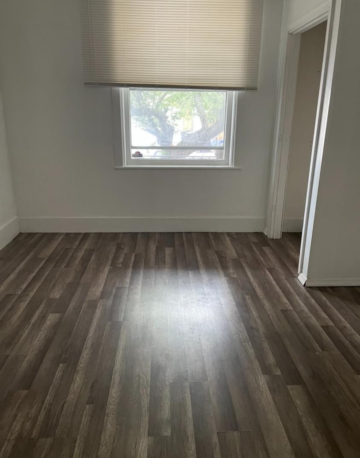 5 bed 2 bath house next to campus!